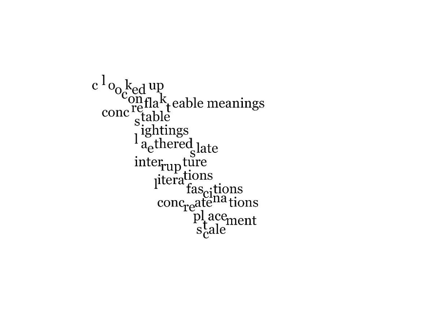 deconstructed poem with playful line breaks: clooked up conflatable meanings stable sightings lathered slate interruptions literature fascinations concatenations replacement scale